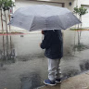 Meet your Posher, Han